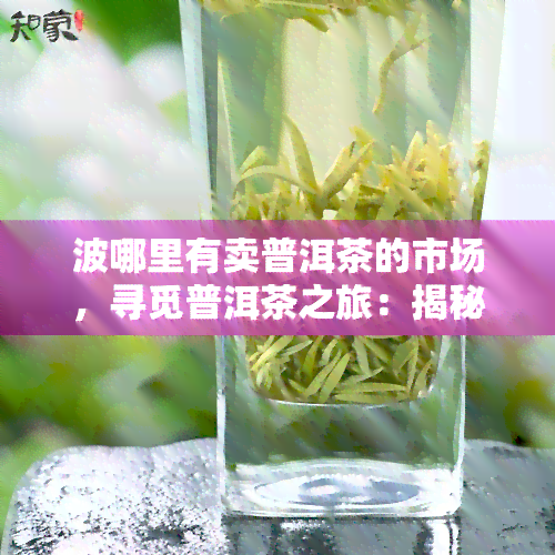 波哪里有卖普洱茶的市场，寻觅普洱茶之旅：揭秘波普洱茶市场热点！