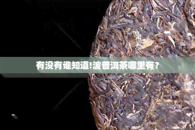 有没有谁知道!波普洱茶哪里有？