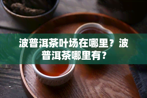 波普洱茶叶场在哪里？波普洱茶哪里有？