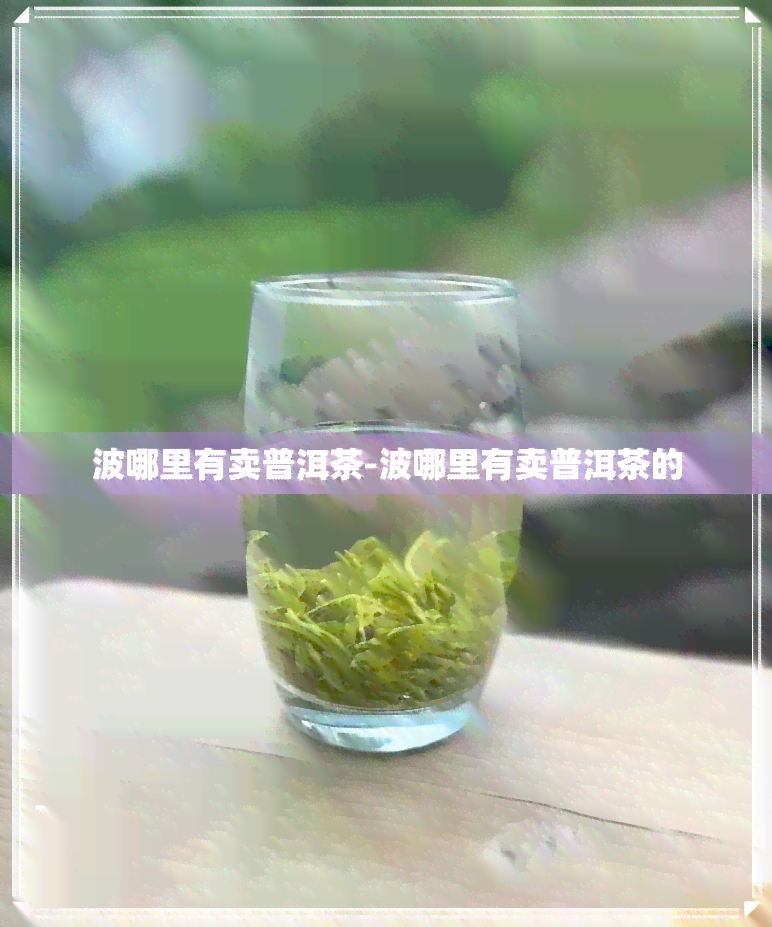 波哪里有卖普洱茶-波哪里有卖普洱茶的