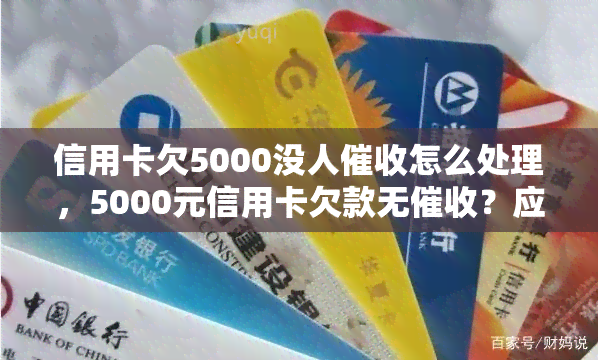 信用卡欠5000没人怎么处理，5000元信用卡欠款无？应对方法揭秘！