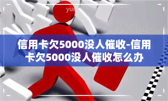 信用卡欠5000没人-信用卡欠5000没人怎么办