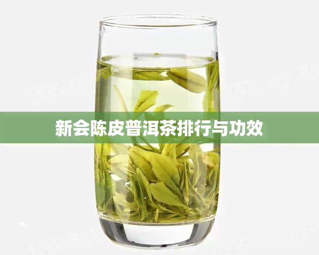 新会陈皮普洱茶排行与功效