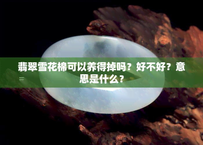 翡翠雪花棉可以养得掉吗？好不好？意思是什么？