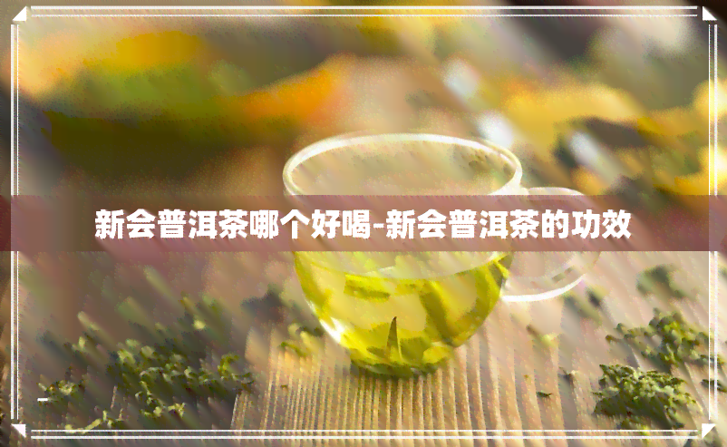 新会普洱茶哪个好喝-新会普洱茶的功效