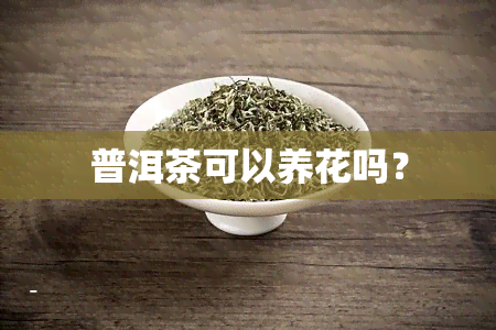 普洱茶可以养花吗？