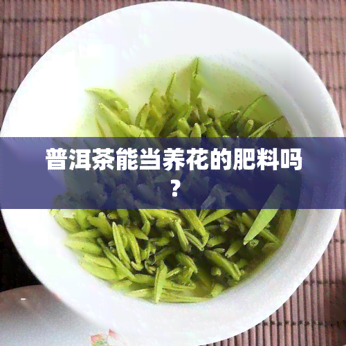 普洱茶能当养花的肥料吗？