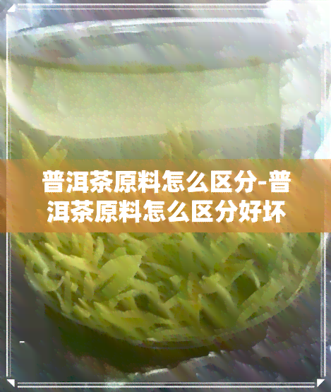 普洱茶原料怎么区分-普洱茶原料怎么区分好坏