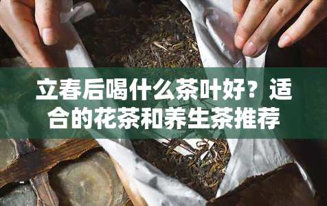 立春后喝什么茶叶好？适合的花茶和养生茶推荐