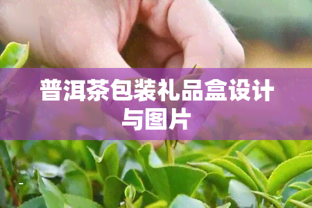 普洱茶包装礼品盒设计与图片