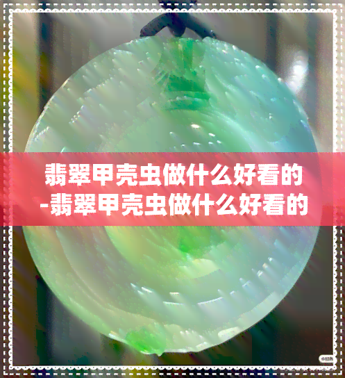 翡翠甲壳虫做什么好看的-翡翠甲壳虫做什么好看的东西