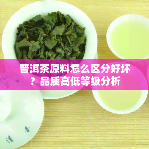 普洱茶原料怎么区分好坏？品质高低等级分析