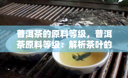 普洱茶的原料等级，普洱茶原料等级：解析茶叶的品质秘密