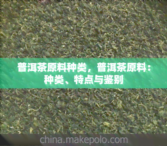 普洱茶原料种类，普洱茶原料：种类、特点与鉴别