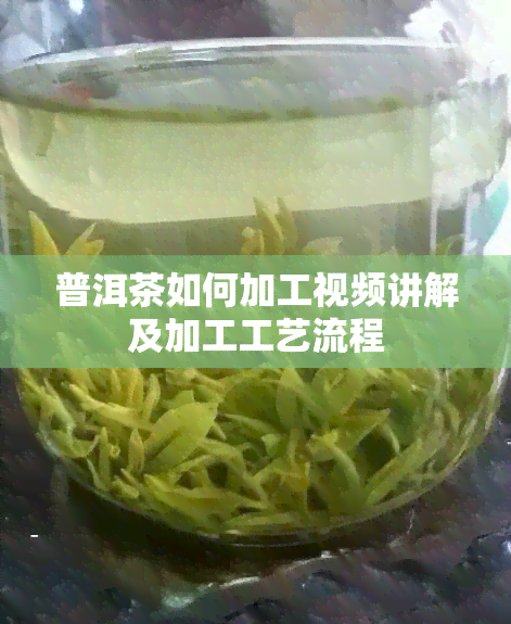 普洱茶如何加工视频讲解及加工工艺流程