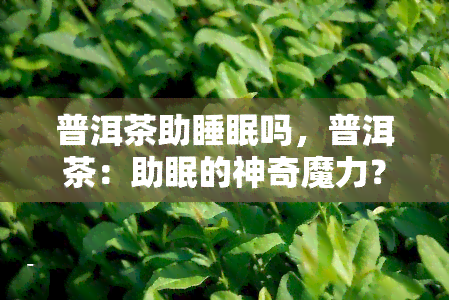 普洱茶助睡眠吗，普洱茶：助眠的神奇魔力？