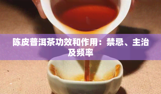 陈皮普洱茶功效和作用：禁忌、主治及频率