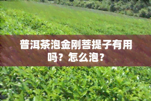 普洱茶泡金刚菩提子有用吗？怎么泡？