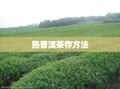 熟普洱茶存方法