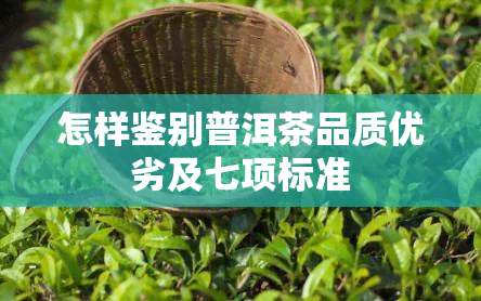 怎样鉴别普洱茶品质优劣及七项标准