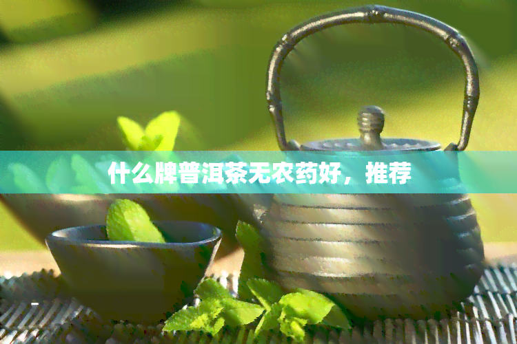 什么牌普洱茶无农好，推荐