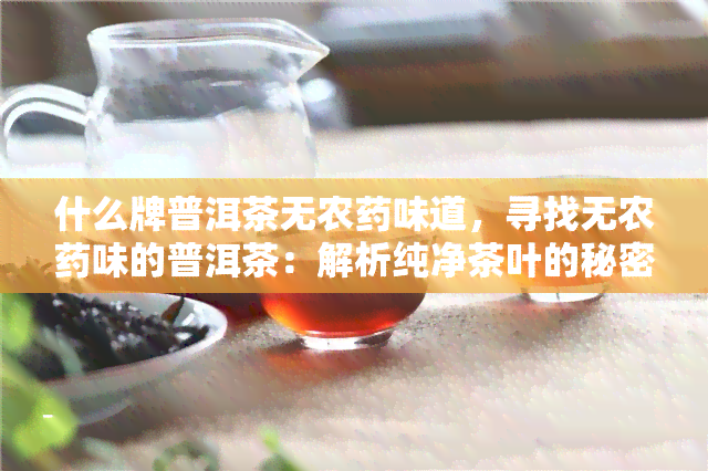 什么牌普洱茶无农味道，寻找无农味的普洱茶：解析纯净茶叶的秘密