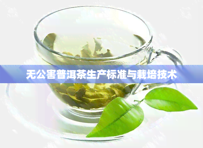 无公害普洱茶生产标准与栽培技术