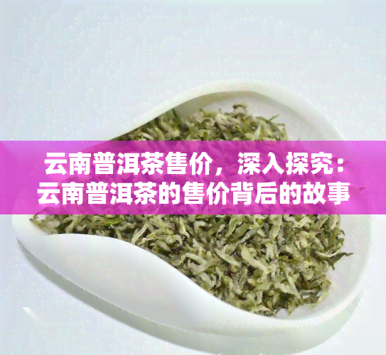 云南普洱茶售价，深入探究：云南普洱茶的售价背后的故事