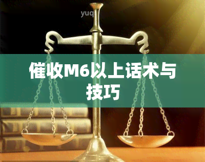 M6以上话术与技巧