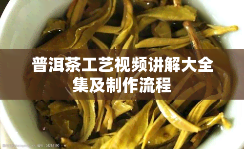 普洱茶工艺视频讲解大全集及制作流程