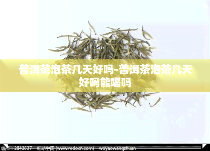 普洱茶泡茶几天好吗-普洱茶泡茶几天好吗能喝吗