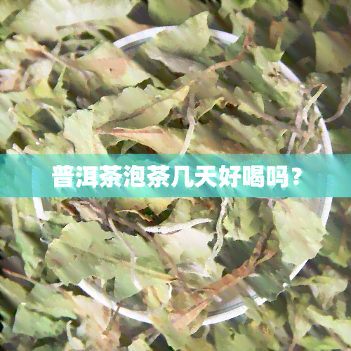 普洱茶泡茶几天好喝吗？