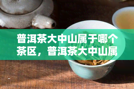 普洱茶大中山属于哪个茶区，普洱茶大中山属于哪个茶区？揭秘其产地身世！