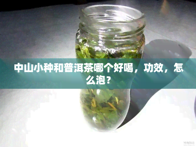 中山小种和普洱茶哪个好喝，功效，怎么泡？