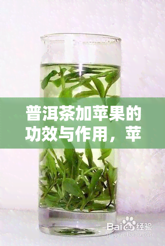 普洱茶加苹果的功效与作用，苹果与普洱茶的完美融合：功效与作用解析