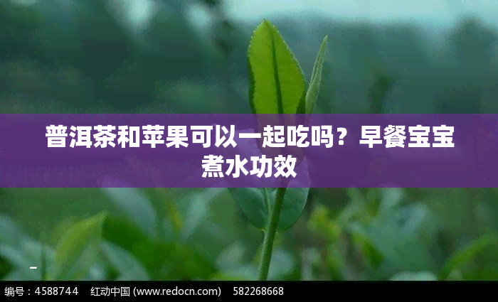 普洱茶和苹果可以一起吃吗？早餐宝宝煮水功效