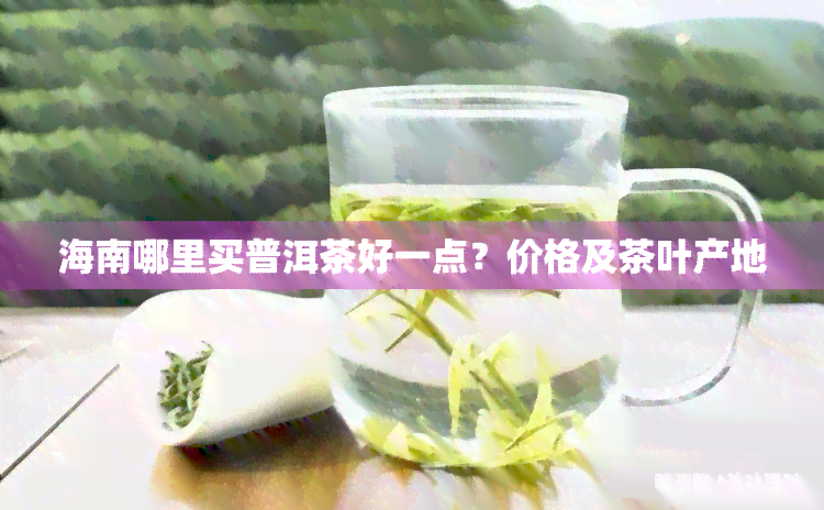 海南哪里买普洱茶好一点？价格及茶叶产地