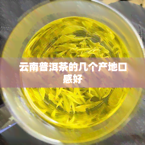 云南普洱茶的几个产地口感好