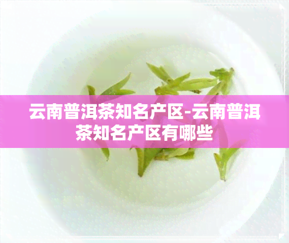 云南普洱茶知名产区-云南普洱茶知名产区有哪些