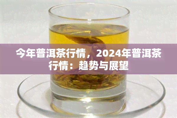 今年普洱茶行情，2024年普洱茶行情：趋势与展望