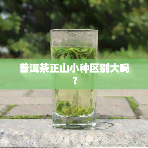 普洱茶正山小种区别大吗？