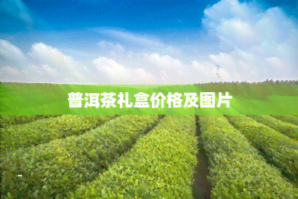 普洱茶礼盒价格及图片