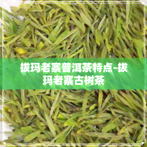 拔玛老寨普洱茶特点-拔玛老寨古树茶