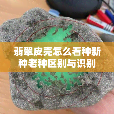 翡翠皮壳怎么看种新种老种区别与识别