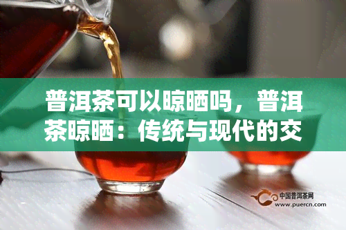 普洱茶可以晾晒吗，普洱茶晾晒：传统与现代的交融