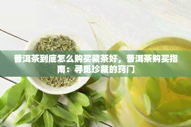 普洱茶到底怎么购买藏茶好，普洱茶购买指南：寻觅珍藏的窍门