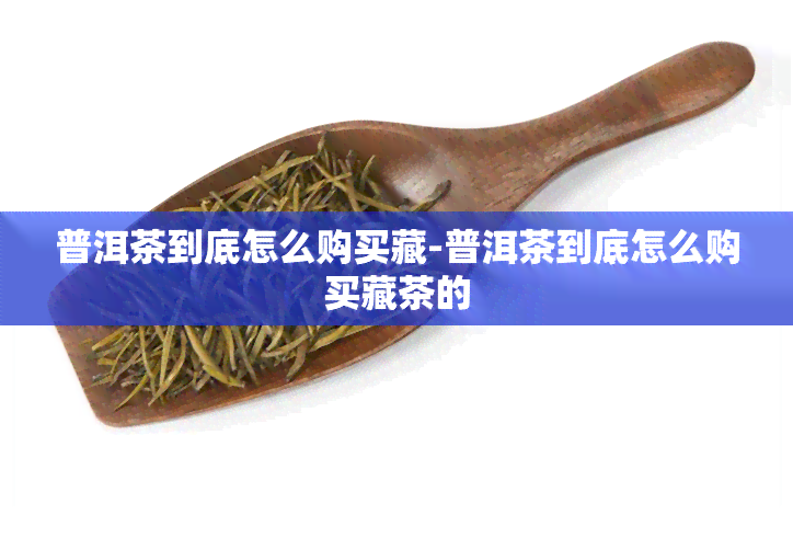 普洱茶到底怎么购买藏-普洱茶到底怎么购买藏茶的