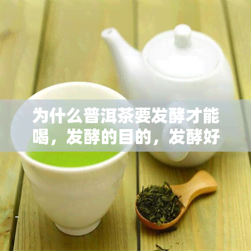 为什么普洱茶要发酵才能喝，发酵的目的，发酵好还是不发酵好，后发酵和不发酵哪个好，普洱茶为什么要存放