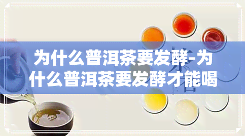 为什么普洱茶要发酵-为什么普洱茶要发酵才能喝