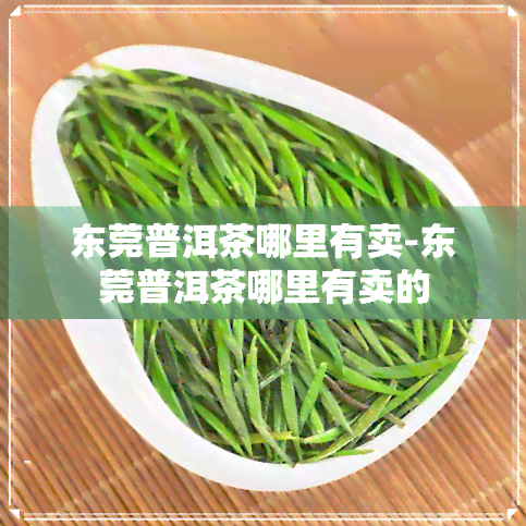 东莞普洱茶哪里有卖-东莞普洱茶哪里有卖的